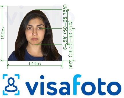 Παράδειγμα φωτογραφίας για Ινδία Visa 190x190 px μέσω VFSglobal.com με ακριβείς προδιαγραφές μεγέθους