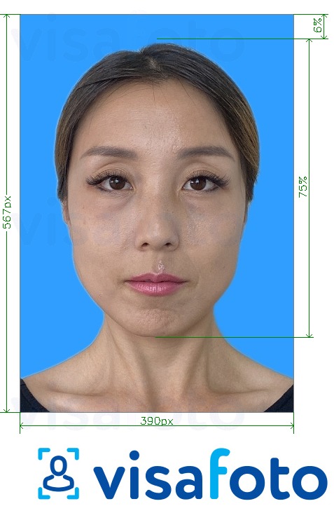 Παράδειγμα φωτογραφίας για Τεστ δοκιμής Putonghua 390x567 εικονοστοιχεία μπλε φόντο με ακριβείς προδιαγραφές μεγέθους