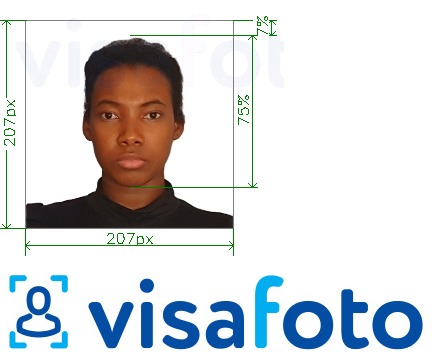 Παράδειγμα φωτογραφίας για Βίζα Κένυα 207x207 pixel με ακριβείς προδιαγραφές μεγέθους