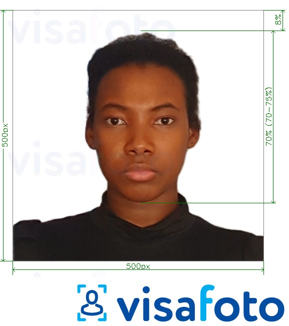 Παράδειγμα φωτογραφίας για Κένυα ηλεκτρονική βίζα 500x500 εικονοστοιχεία με ακριβείς προδιαγραφές μεγέθους