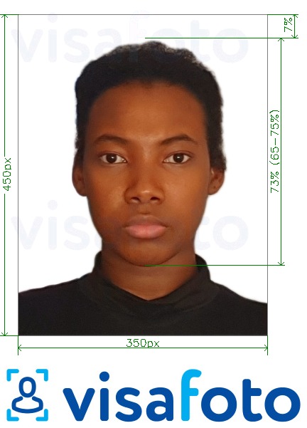 Παράδειγμα φωτογραφίας για Νιγηρία on-line visa 200-450 pixels με ακριβείς προδιαγραφές μεγέθους